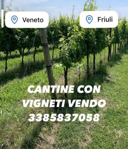 anteprima foto